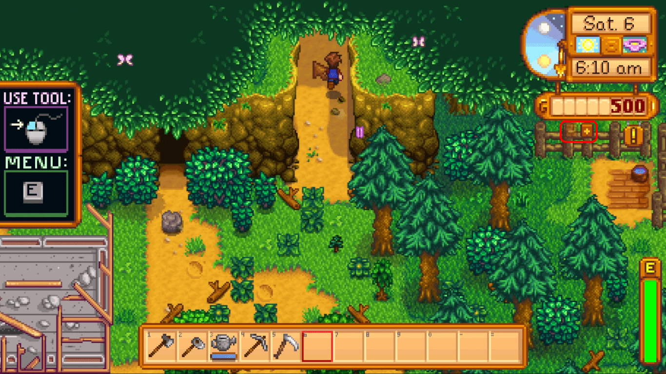 stardew valley