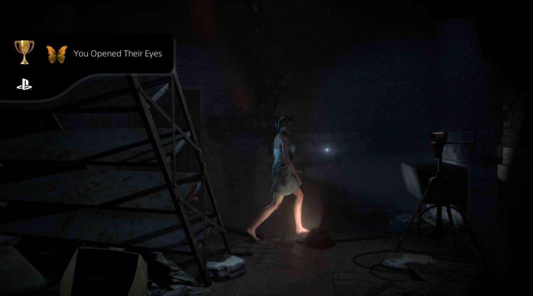 You Opened Their Eyes Until Dawn Trophy